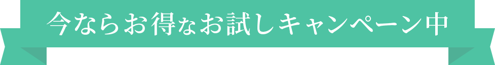 今ならお得なお試しキャンペーン中